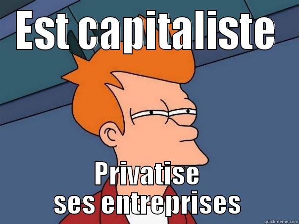 EST CAPITALISTE PRIVATISE SES ENTREPRISES Futurama Fry