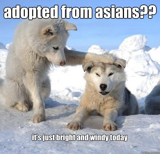 adopted from asians?? it's just bright and windy today  Caring Husky