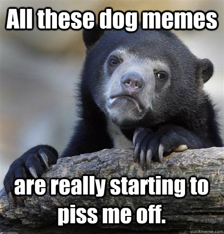 All these dog memes are really starting to piss me off.  Confession Bear