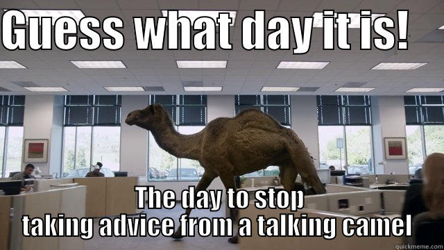 Gieco Camel - GUESS WHAT DAY IT IS!     THE DAY TO STOP TAKING ADVICE FROM A TALKING CAMEL  Misc