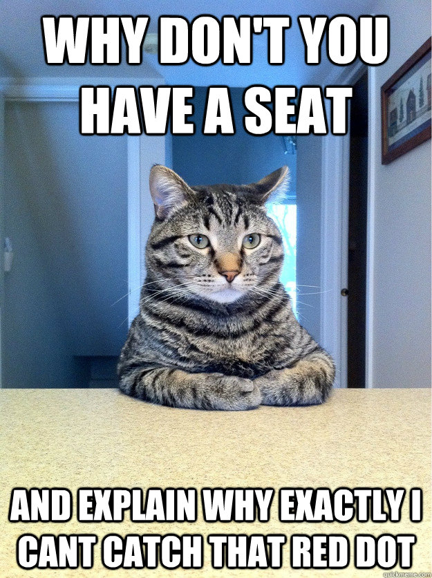 Why don't you have a seat and explain why exactly i cant catch that red dot  Chris Hansen Cat