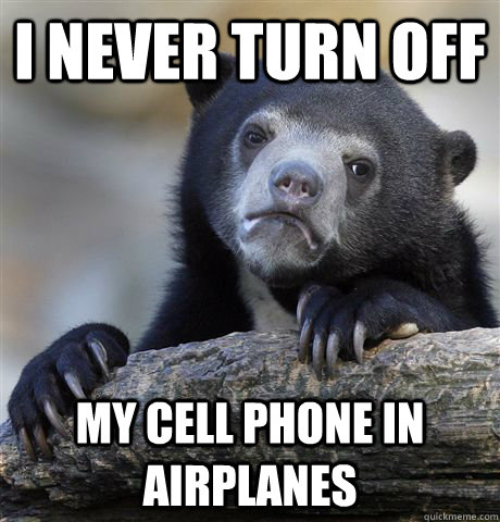 I never turn off my cell phone in airplanes - I never turn off my cell phone in airplanes  Confession Bear