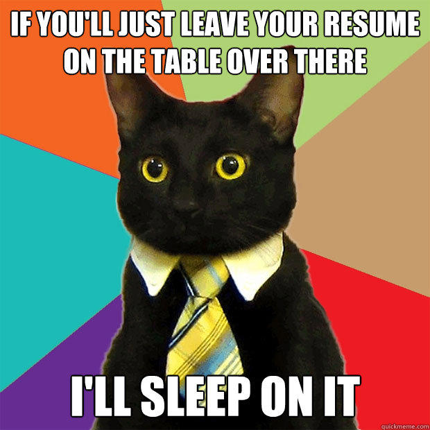 If you'll just leave your resume on the table over there I'll sleep on it - If you'll just leave your resume on the table over there I'll sleep on it  Business Cat