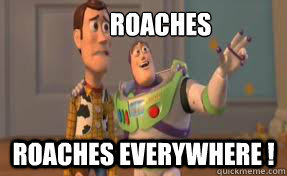        Roaches Roaches everywhere ! -        Roaches Roaches everywhere !  x-x everywhere