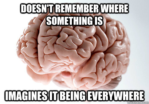 DOESN'T REMEMBER WHERE SOMETHING IS IMAGINES IT BEING EVERYWHERE  Scumbag Brain