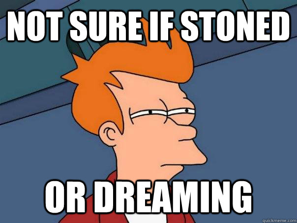 Not sure if stoned or dreaming  Futurama Fry