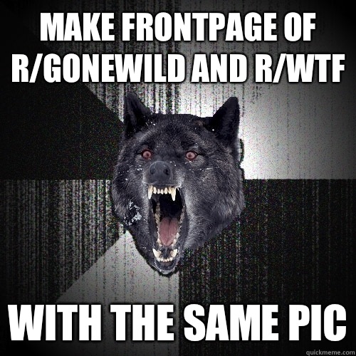 Make frontpage of 
R/gonewild and r/wtf With the same pic - Make frontpage of 
R/gonewild and r/wtf With the same pic  Insanity Wolf