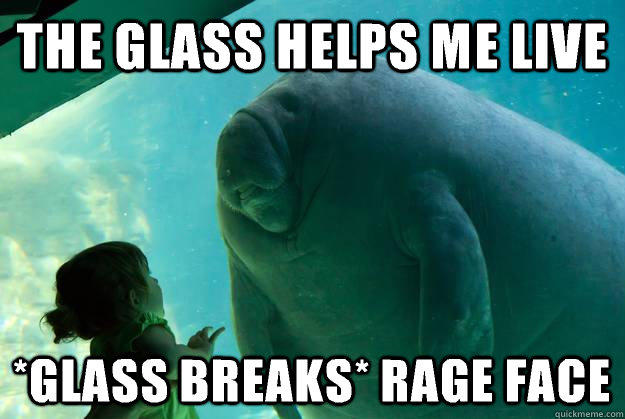 The glass helps me live *glass breaks* Rage face  Overlord Manatee