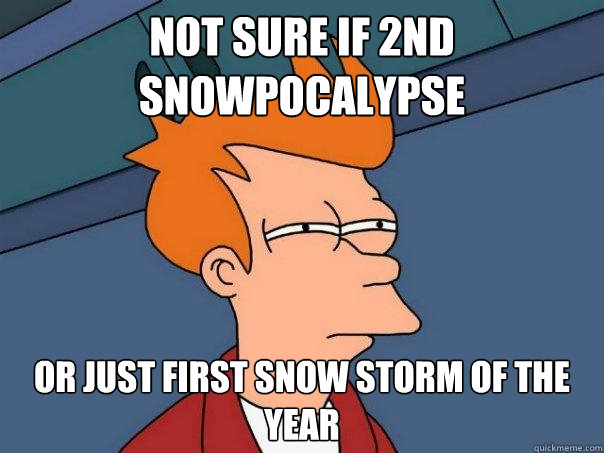 Not sure if 2nd Snowpocalypse Or just first snow storm of the year  Futurama Fry