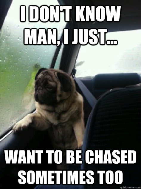 I don't know man, I just... want to be chased sometimes too  Introspective Pug