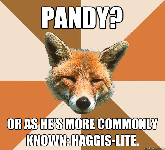 Pandy? Or as he's more commonly known: Haggis-lite.  Condescending Fox