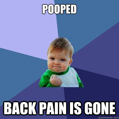 Pooped back pain is gone  Success Kid