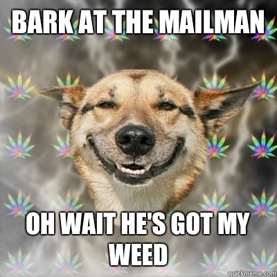 Bark at the mailman Oh wait he's got my weed  Stoner Dog