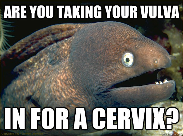 Are you taking your vulva  in for a cervix?  Bad Joke Eel