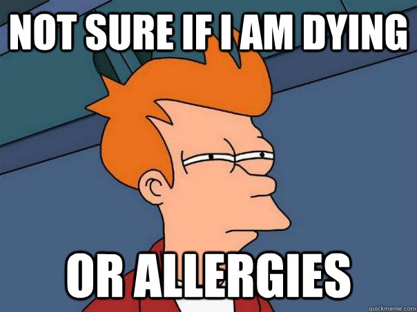 not sure if I am dying or allergies  Futurama Fry