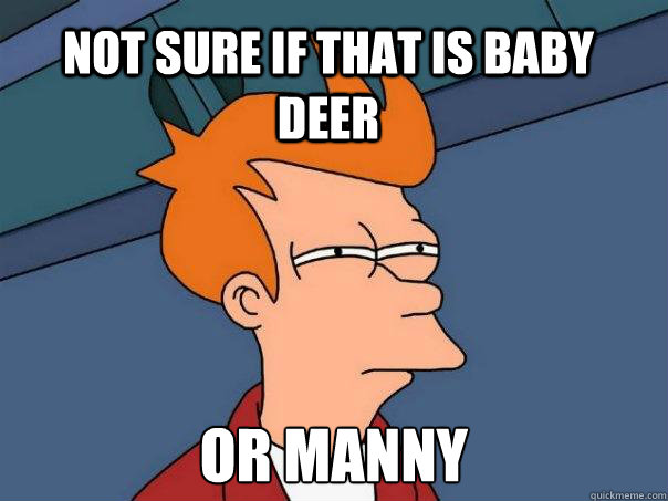 Not sure if that is baby deer or Manny  Futurama Fry