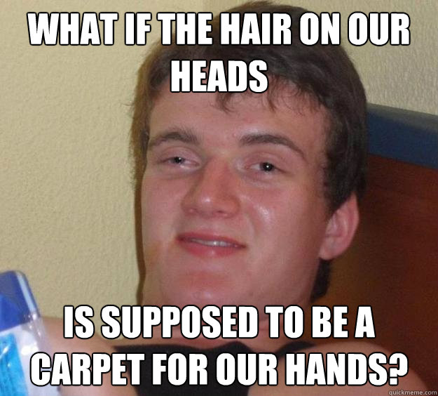 What if the hair on our heads Is supposed to be a carpet for our hands?   10 Guy