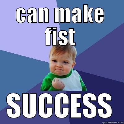 CAN MAKE FIST SUCCESS Success Kid