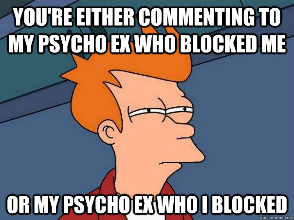 You're either commenting to my psycho ex who blocked me Or my psycho ex who I blocked - You're either commenting to my psycho ex who blocked me Or my psycho ex who I blocked  Futurama Fry