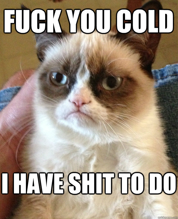 fuck you cold i have shit to do  Grumpy Cat