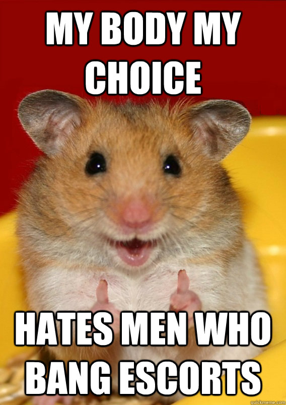 MY BODY MY CHOICE HATES MEN WHO BANG ESCORTS   - MY BODY MY CHOICE HATES MEN WHO BANG ESCORTS    Rationalization Hamster