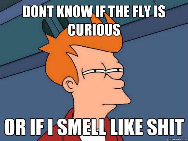 Dont know if the fly is curious or if i smell like shit - Dont know if the fly is curious or if i smell like shit  Futurama Fry