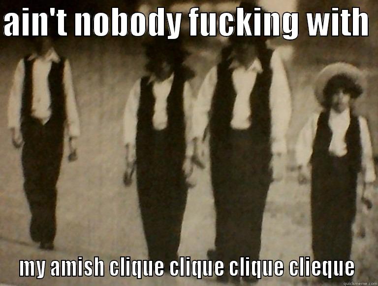 AIN'T NOBODY FUCKING WITH  MY AMISH CLIQUE CLIQUE CLIQUE CLIEQUE Misc