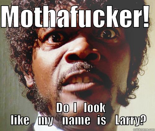 Not Lawrence Fishburn - MOTHAFUCKER!      DO  I   LOOK   LIKE    MY    NAME   IS    LARRY? Misc