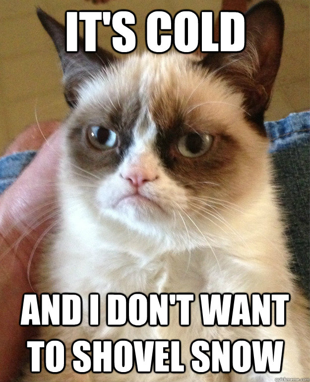 It's cold And I don't want to shovel snow  Grumpy Cat