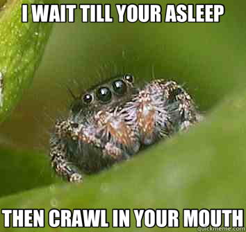 I WAIT TILL YOUR ASLEEP THEN CRAWL IN YOUR MOUTH  Misunderstood Spider