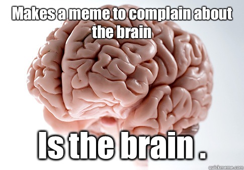 Makes a meme to complain about the brain  Is the brain .  Scumbag Brain