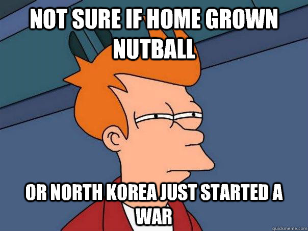 Not sure if home grown nutball  Or North Korea just started a war - Not sure if home grown nutball  Or North Korea just started a war  Futurama Fry