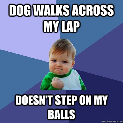 Dog walks across my lap doesn't step on my balls  Success Kid