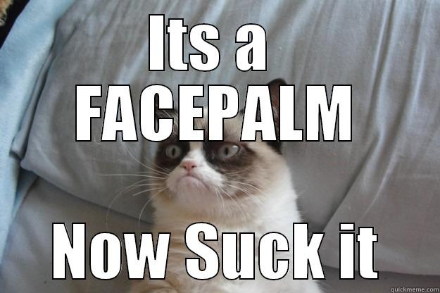 ITS A  FACEPALM NOW SUCK IT Grumpy Cat