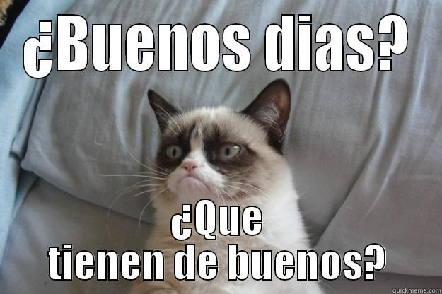 Buenos dias - ¿BUENOS DIAS? ¿QUE TIENEN DE BUENOS? Grumpy Cat