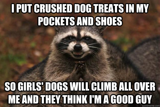 I put Crushed dog treats in my pockets and shoes So Girls' dogs will climb all over me and they think I'm a good guy  Evil Plotting Raccoon