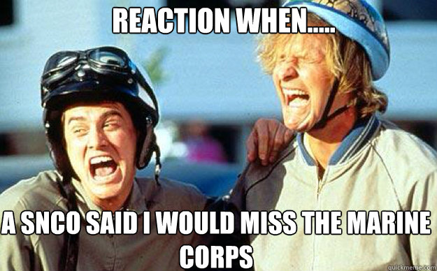 Reaction when..... A snco said i would miss the marine corps  Dumb and Dumber