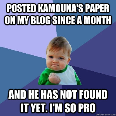 Posted Kamouna's paper on my blog since a month and he has not found it yet. I'm so pro  Success Kid