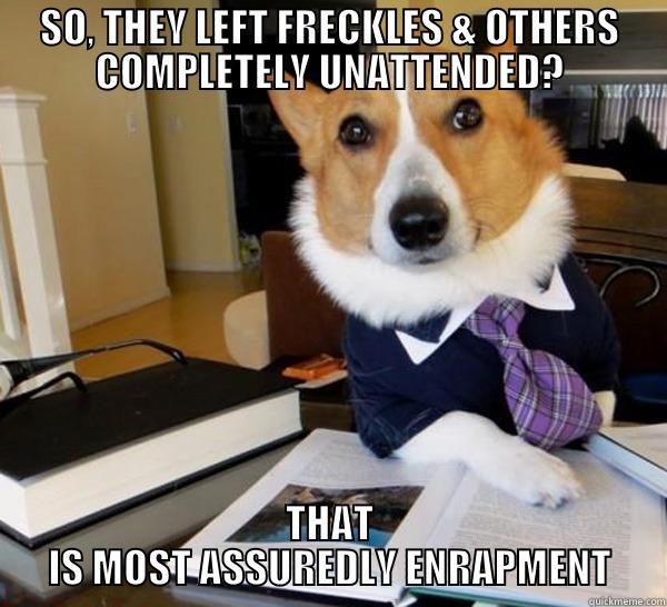 SO, THEY LEFT FRECKLES & OTHERS COMPLETELY UNATTENDED? THAT IS MOST ASSUREDLY ENRAPMENT Lawyer Dog