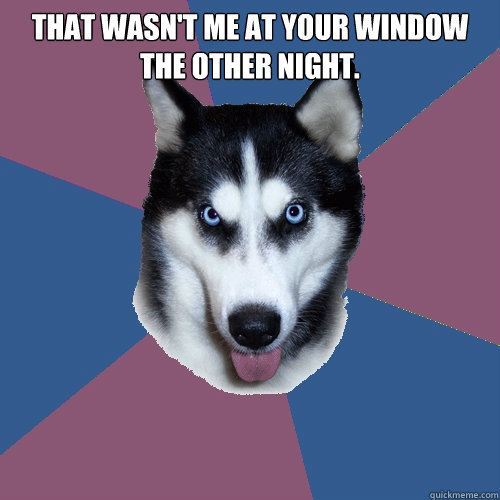 That wasn't me at your window the other night.   Creeper Canine