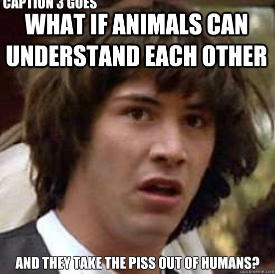 What if animals can understand each other And they take the piss out of humans? Caption 3 goes here  conspiracy keanu