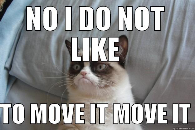 NO I DO NOT LIKE  TO MOVE IT MOVE IT Grumpy Cat