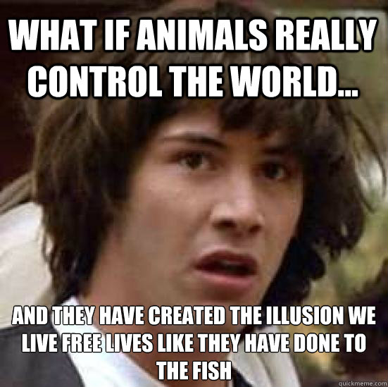 What if animals really control the world... and they have created the illusion we live free lives like they have done to the fish  conspiracy keanu