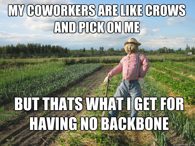 my coworkers are like crows and pick on me but thats what i get for having no backbone  Scarecrow