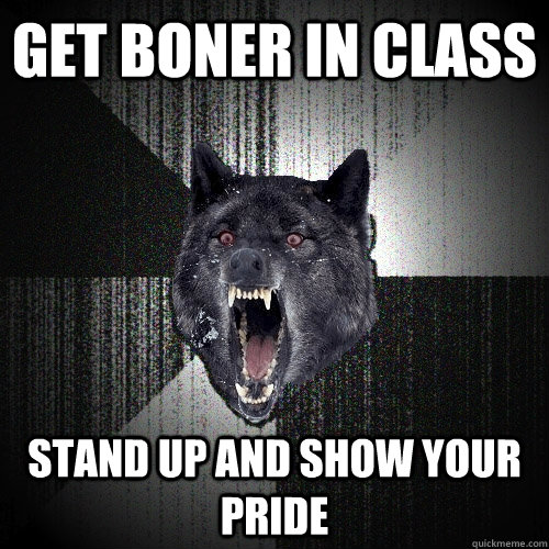 Get Boner In CLass Stand up and show your pride  Insanity Wolf