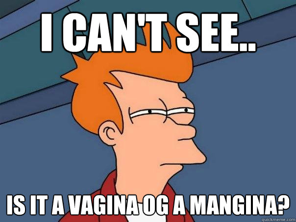 I can't see.. is it a vagina og a mangina?  Futurama Fry