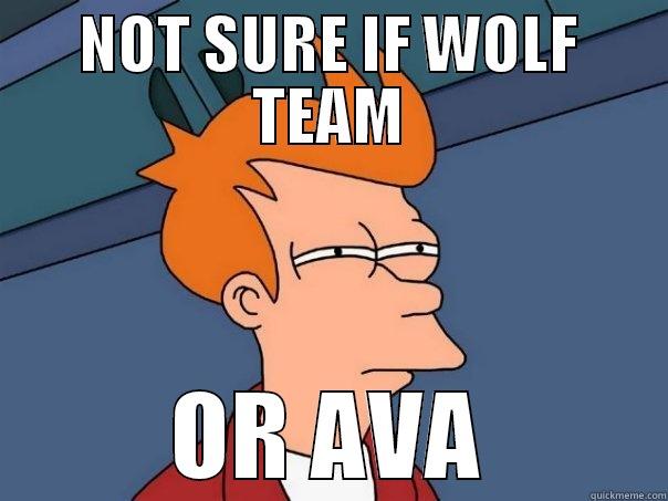 NOT SURE IF WOLF TEAM OR AVA Futurama Fry