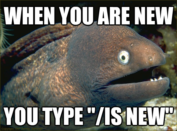 WHEN YOU ARE NEW YOU TYPE 