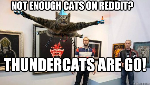 thundercats cheetara meme