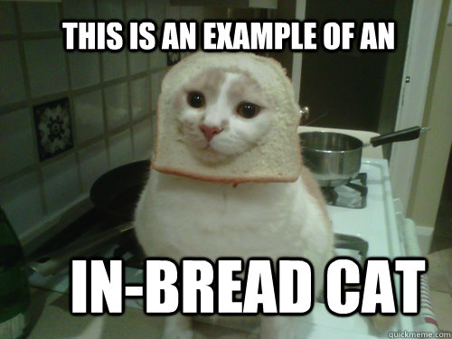 In-Bread cat this is an example of an  